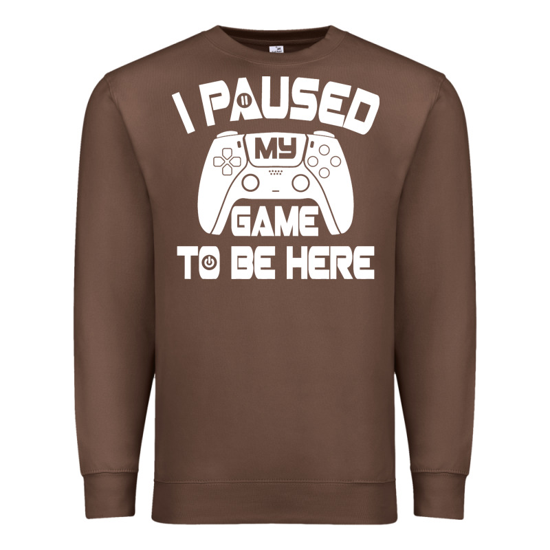 I Paused My Game To Be Here Premium Sweatshirt by linhVisuals | Teevron