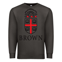 Smoke brown university Premium Sweatshirt - linhVisuals