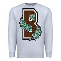 Heather Grey brown university Premium Sweatshirt - linhVisuals