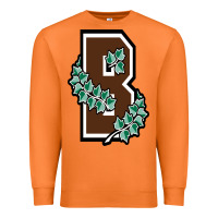 Carrot brown university Premium Sweatshirt - linhVisuals