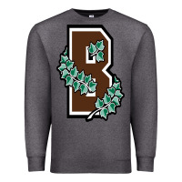 Charcoal Heather brown university Premium Sweatshirt - linhVisuals