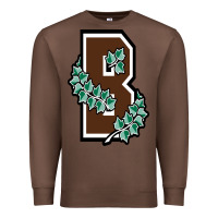 Chestnut brown university Premium Sweatshirt - linhVisuals