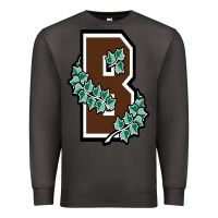 Smoke brown university Premium Sweatshirt - linhVisuals