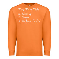 Carrot things to do today Premium Sweatshirt - linhVisuals
