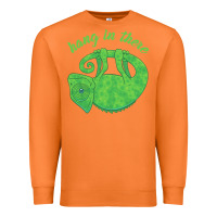 Carrot hang in there magical chameleon Premium Sweatshirt - linhVisuals