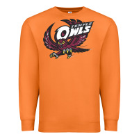 Carrot temple owls Premium Sweatshirt - linhVisuals