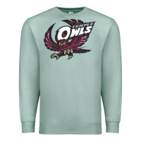 Seafoam temple owls Premium Sweatshirt - linhVisuals