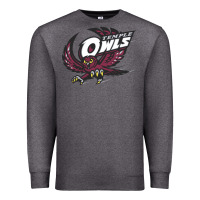 Charcoal Heather temple owls Premium Sweatshirt - linhVisuals
