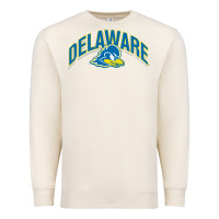 Sandshell delaware sportss Premium Sweatshirt - linhVisuals