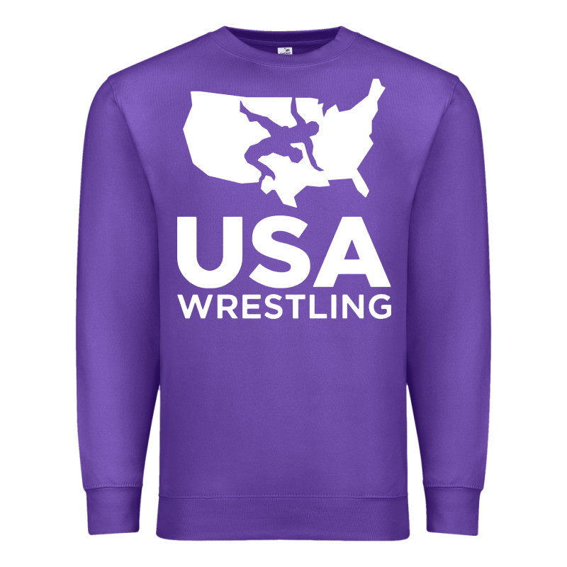 Usa Fight Premium Sweatshirt by linhVisuals | Teevron