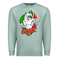 Seafoam jhc bars Premium Sweatshirt - linhVisuals