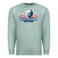 Seafoam neftekhimik nizhnekamsk Premium Sweatshirt - linhVisuals