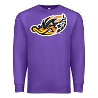 Purple akron-rubber-ducks Premium Sweatshirt - linhVisuals