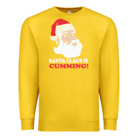 Lemon santa claus is cumming dirty humor Premium Sweatshirt - linhVisuals