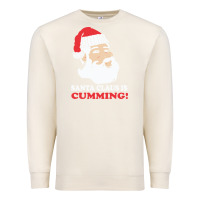 Sandshell santa claus is cumming dirty humor Premium Sweatshirt - linhVisuals