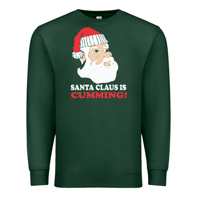 Santa Claus Is Cumming Dirty Humor Premium Sweatshirt by linhVisuals | Teevron