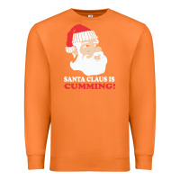 Carrot santa claus is cumming dirty humor Premium Sweatshirt - linhVisuals