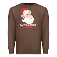 Chestnut santa claus is cumming dirty humor Premium Sweatshirt - linhVisuals