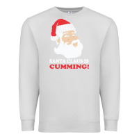 Dove Grey santa claus is cumming dirty humor Premium Sweatshirt - linhVisuals