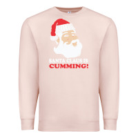 Pale Pink santa claus is cumming dirty humor Premium Sweatshirt - linhVisuals
