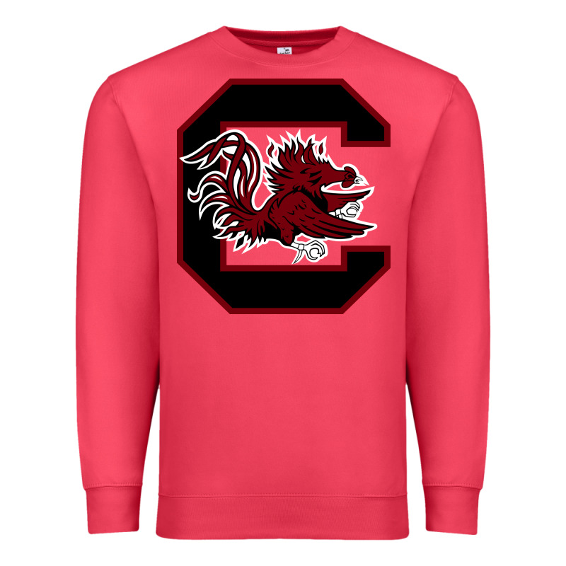 The Gamecocks Athletics Premium Sweatshirt by linhVisuals | Teevron