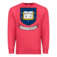 Cardinal Yale University Premium Sweatshirt - linhVisuals