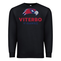 Black v-h4wks, viterbo, education Premium Sweatshirt - linhVisuals