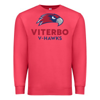 Cardinal v-h4wks, viterbo, education Premium Sweatshirt - linhVisuals