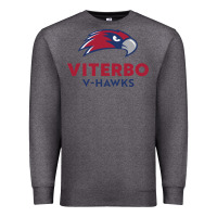 Charcoal Heather v-h4wks, viterbo, education Premium Sweatshirt - linhVisuals