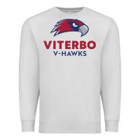 Dove Grey v-h4wks, viterbo, education Premium Sweatshirt - linhVisuals