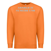 Carrot arnold is numero uno Premium Sweatshirt - linhVisuals