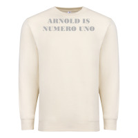 Sandshell arnold is numero uno Premium Sweatshirt - linhVisuals