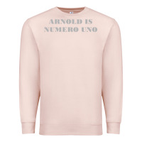 Pale Pink arnold is numero uno Premium Sweatshirt - linhVisuals