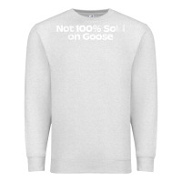 Oatmeal Heather womens not 100 sold on goose v neck t shirt Premium Sweatshirt - linhVisuals