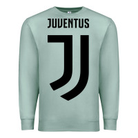 Seafoam juve Premium Sweatshirt - linhVisuals