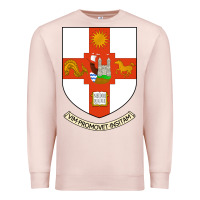 Pale Pink university bristol Premium Sweatshirt - linhVisuals