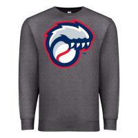 Charcoal Heather new hampshire fisher cats Premium Sweatshirt - linhVisuals