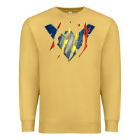 Antique Gold nightwing super hero Premium Sweatshirt - linhVisuals