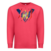 Cardinal nightwing super hero Premium Sweatshirt - linhVisuals