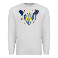 Dove Grey nightwing super hero Premium Sweatshirt - linhVisuals