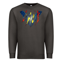 Smoke nightwing super hero Premium Sweatshirt - linhVisuals