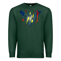 Sports Green nightwing super hero Premium Sweatshirt - linhVisuals