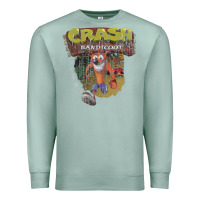 Seafoam crash bandicoot 1966 Premium Sweatshirt - linhVisuals