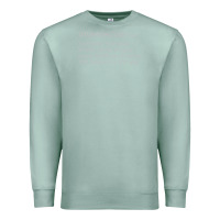 Seafoam musician definition Premium Sweatshirt - linhVisuals