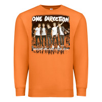 Carrot one direction 04 [tb] Premium Sweatshirt - linhVisuals