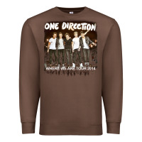 Chestnut one direction 04 [tb] Premium Sweatshirt - linhVisuals