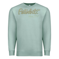 Seafoam peterbilt class pays   trucker quote Premium Sweatshirt - linhVisuals