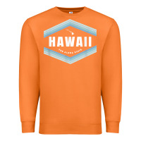 Carrot hawaii the aloha state   aloha hawaiian from the islands!! t shirt Premium Sweatshirt - linhVisuals