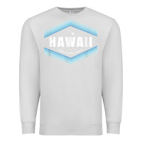 Dove Grey hawaii the aloha state   aloha hawaiian from the islands!! t shirt Premium Sweatshirt - linhVisuals