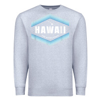 Heather Grey hawaii the aloha state   aloha hawaiian from the islands!! t shirt Premium Sweatshirt - linhVisuals